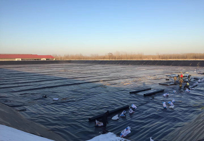 土工膜施工圖片