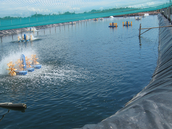 哪些優(yōu)勢是促進水產(chǎn)養(yǎng)殖膜使用的關(guān)鍵點？
