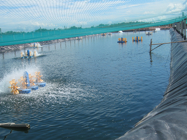 水產(chǎn)防滲膜鋪設(shè)現(xiàn)場(chǎng)有哪些細(xì)節(jié)須關(guān)注？