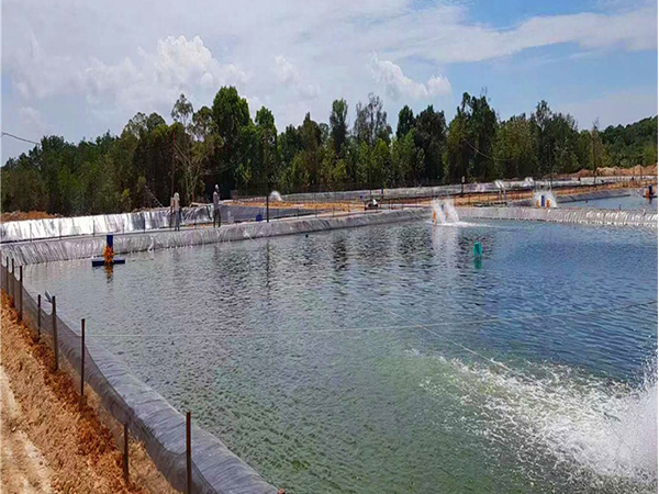 魚塘建設(shè)使用防滲土工膜益處多多