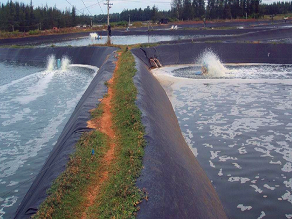 蓄水池鋪設(shè)防滲土工膜需要考慮哪些設(shè)計(jì)要點(diǎn)？