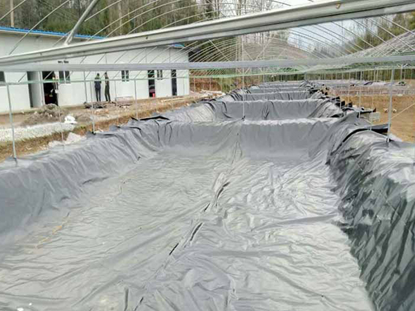 魚塘防滲土工膜使用優(yōu)勢都有哪些？