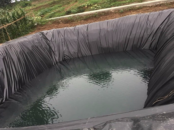 水產(chǎn)養(yǎng)殖防滲膜鋪設后能用多久？