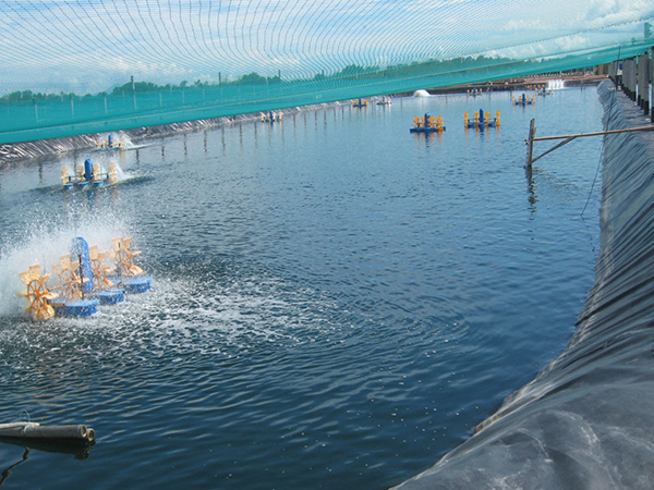 水產(chǎn)土工膜施工過(guò)程中該如何進(jìn)行基面清潔？