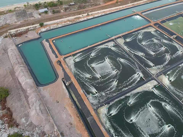 養(yǎng)殖防滲膜為何被廣泛應用于養(yǎng)殖業(yè)？