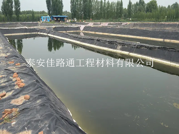 養(yǎng)殖防滲膜：魚蝦養(yǎng)殖的綠色守護者，創(chuàng)新助力水產(chǎn)繁榮