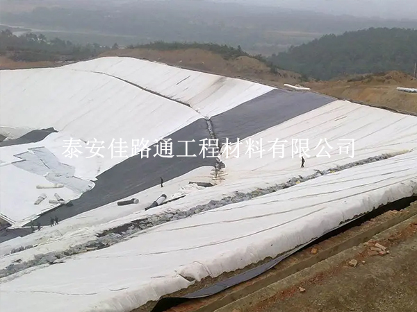 垃圾填埋場防滲膜選擇技巧：綠色守護(hù)，從“膜”力開始