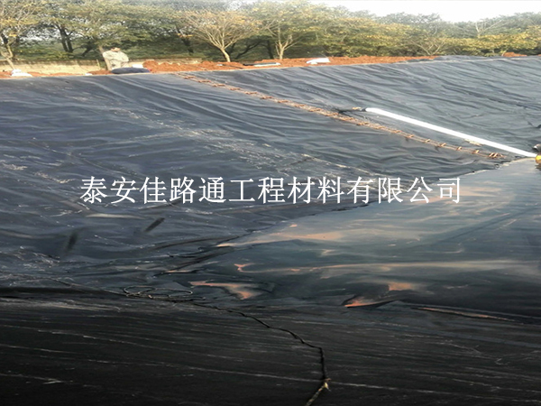 水產(chǎn)養(yǎng)殖防滲膜破裂的修復新策略