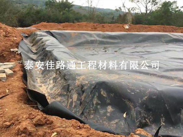 水產(chǎn)養(yǎng)殖戶選擇養(yǎng)殖防滲土工膜：智慧之選，綠色養(yǎng)殖的新篇章