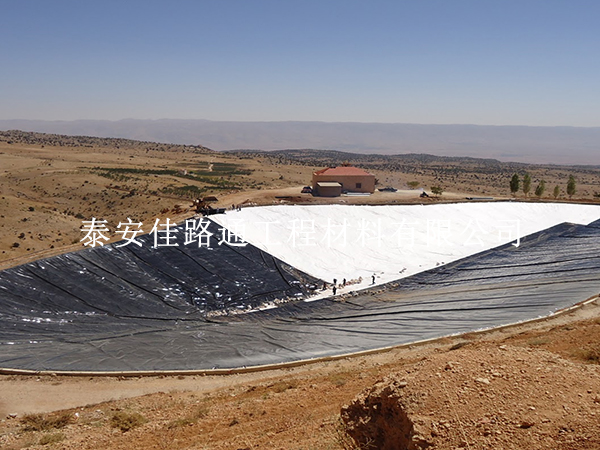 人工湖防滲新紀(jì)元:防滲膜如何筑起細(xì)菌防護(hù)的隱形長(zhǎng)城 人工湖防滲新紀(jì)元:防滲膜如何筑起細(xì)菌防護(hù)的隱形長(zhǎng)城